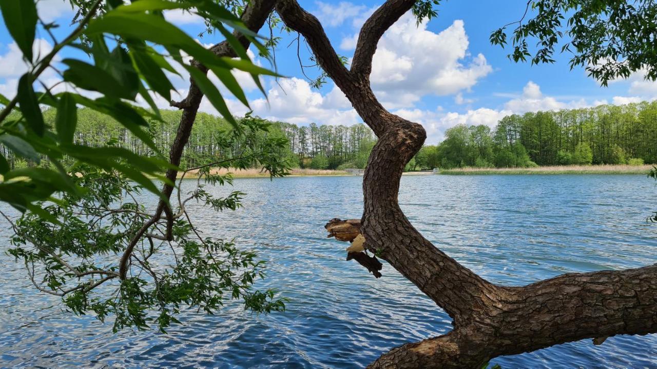 Hotel Am Wald B&B Michendorf Dış mekan fotoğraf