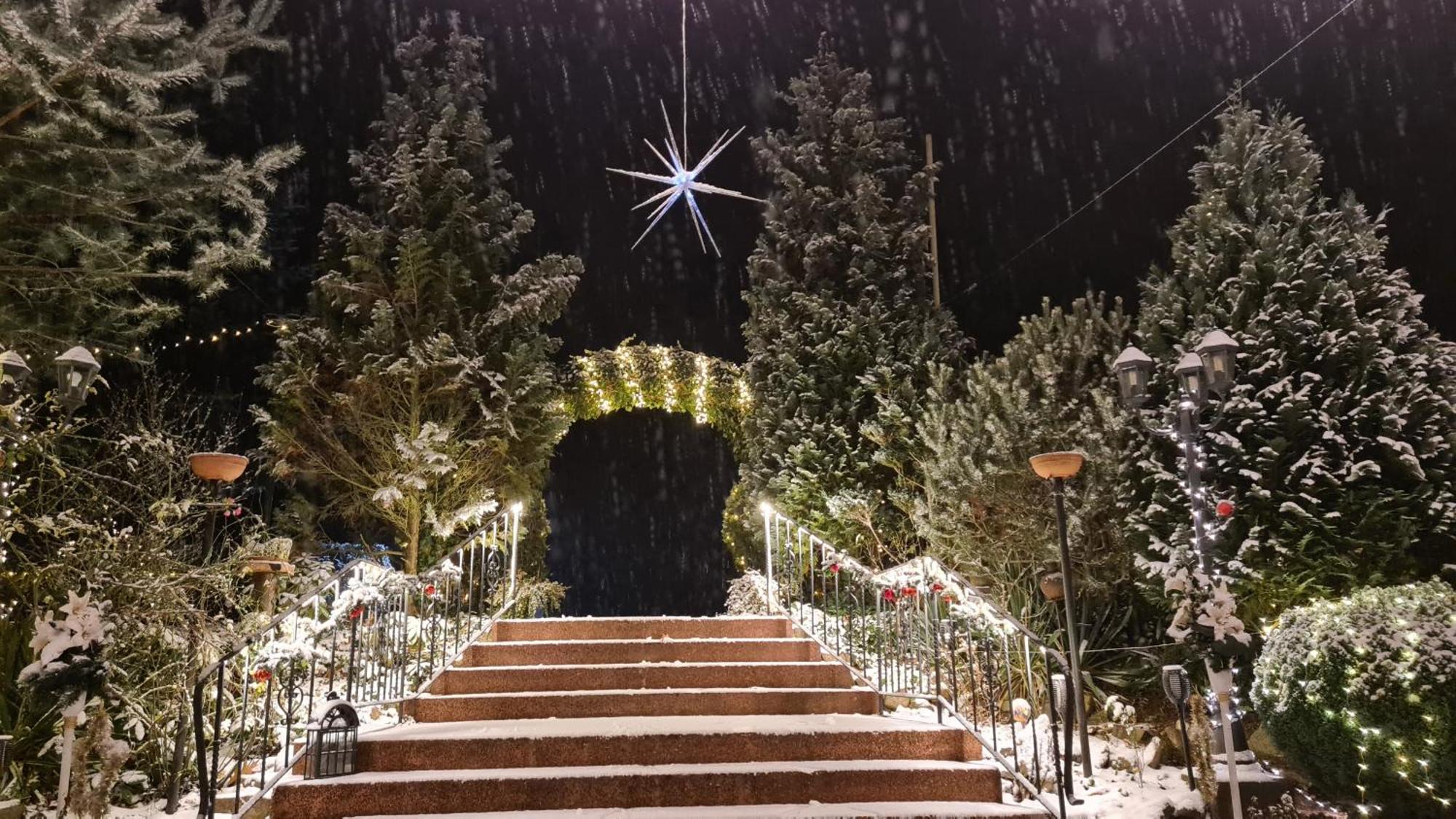 Hotel Am Wald B&B Michendorf Dış mekan fotoğraf
